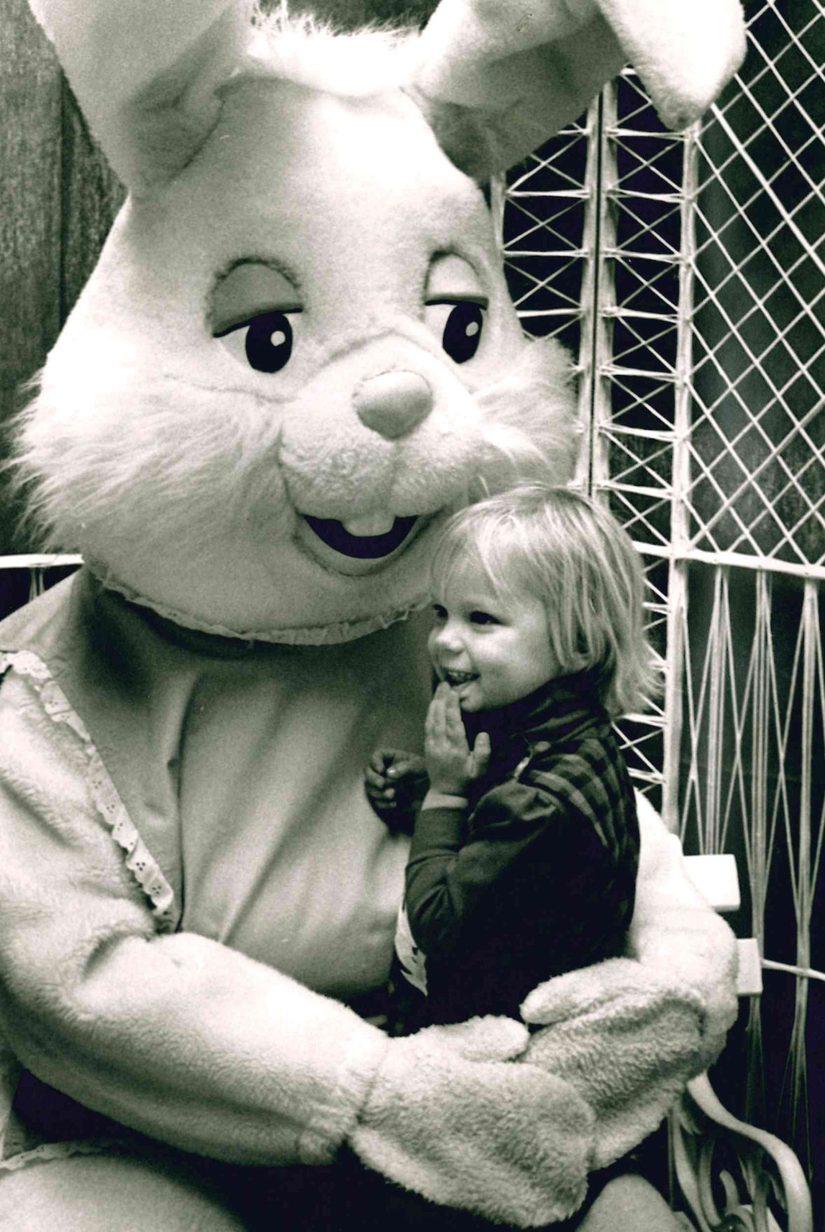 What's up doc?